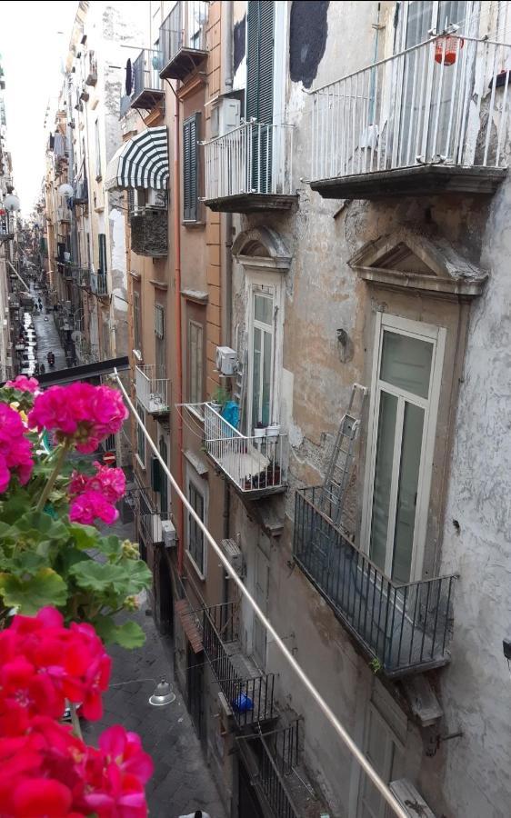 Casa vacanze Gelso Napoli