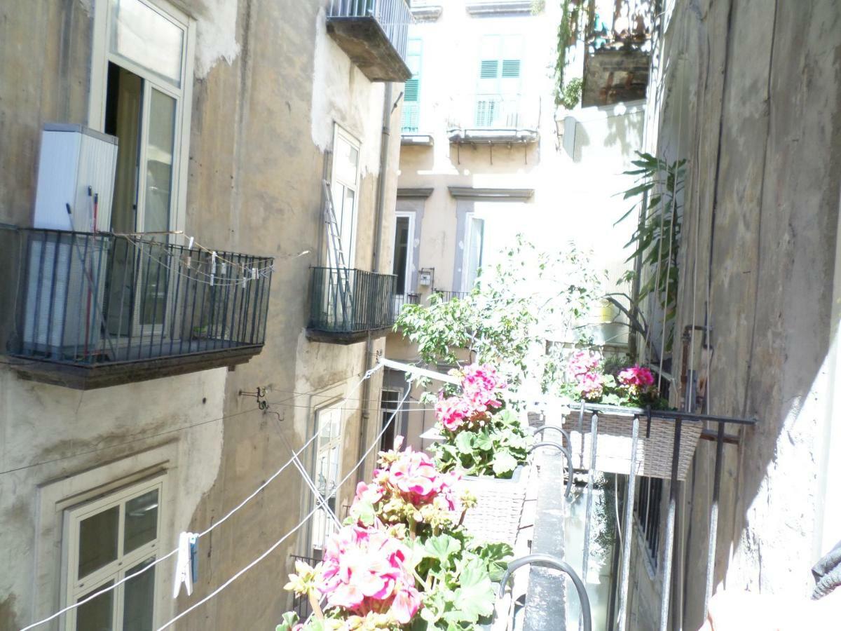 Gelso Casa vacanze Napoli